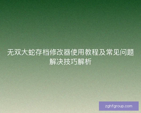 无双大蛇存档修改器使用教程及常见问题解决技巧解析